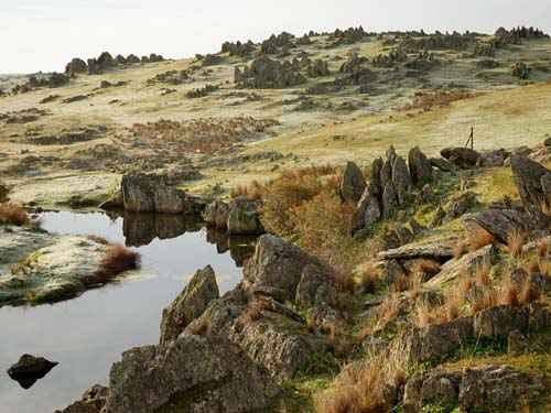 Extremadura. Photo by Jo Halpin Jones