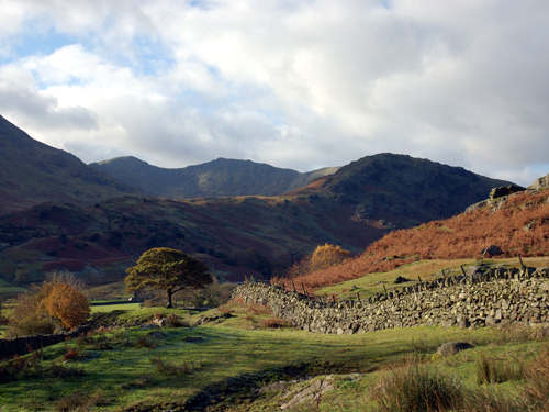 Langdale Fell - Lake District. Photo by Jo Halpin Jones