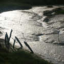 Thornham At Low Tide