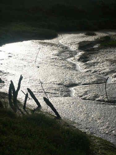 Thornham At Low Tide. Photo by Jo Halpin Jones