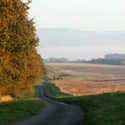 Near Anmer Norfolk