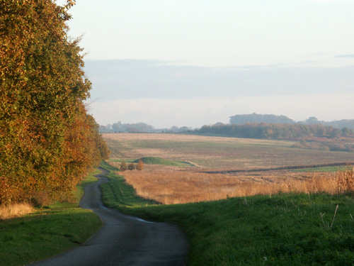 Near Anmer, Norfolk. Photo by Jo Halpin Jones