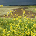 Thornham Before The Storm