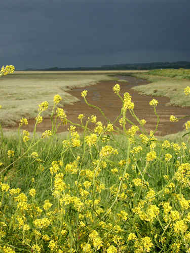 Thornham Before The Storm. Photo by Jo Halpin Jones