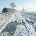 Winter Walk, Norfolk