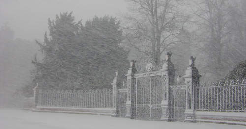 Blizzard At Sandringham. Photo by Jo Halpin Jones