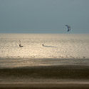 Wind Surfers, Hunstanton