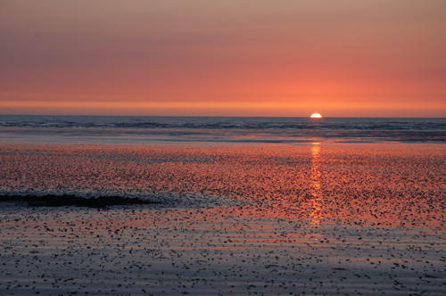 St. Pair-Sur-Mer, Normandy. Photo by Jo Halpin Jones