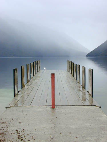 Lake Rotoiti, New Zealand. Photo by Jo Halpin Jones